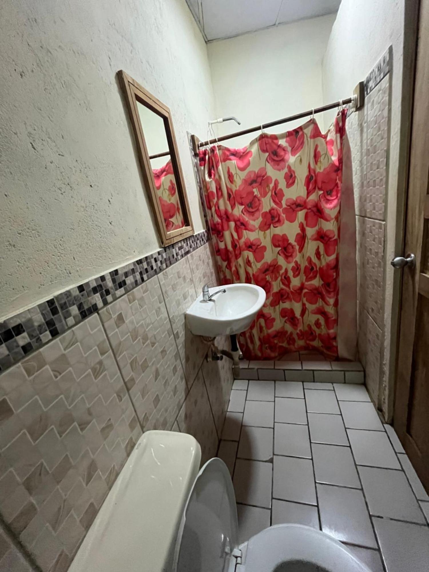 Valerie Emanuel Apartments Бокас-дель-Торо Экстерьер фото